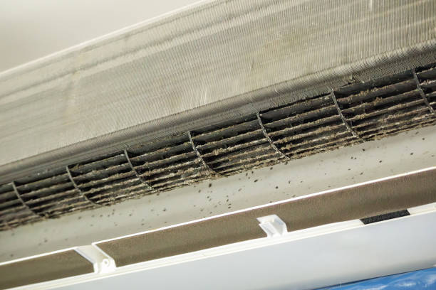 Best Air Duct Cleaning Near Me  in Merriam, KS